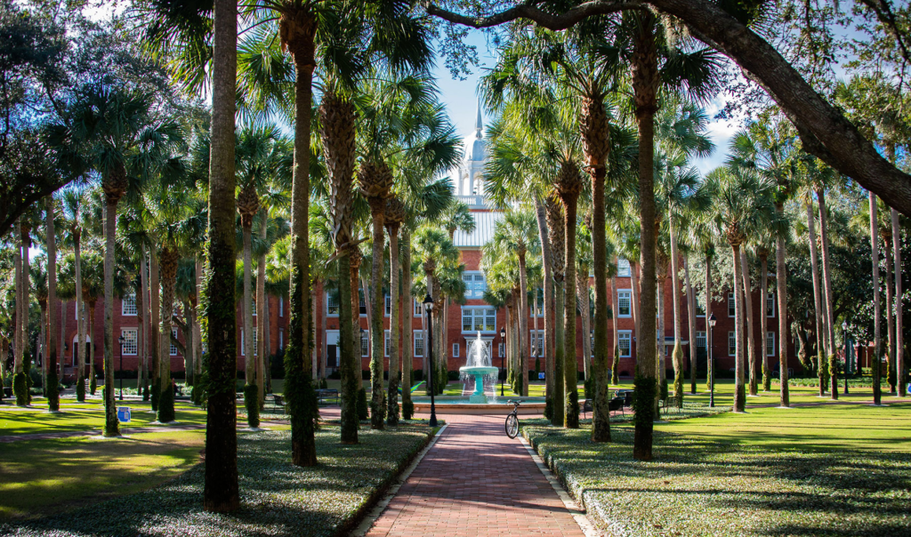 The Top 10 Educational Institutions with The Most Interesting Campus Cultures
