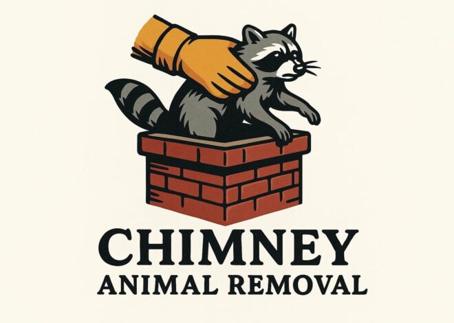 What Are the Dangers of Ignoring Chimney Animals in North Scituate Homes?
