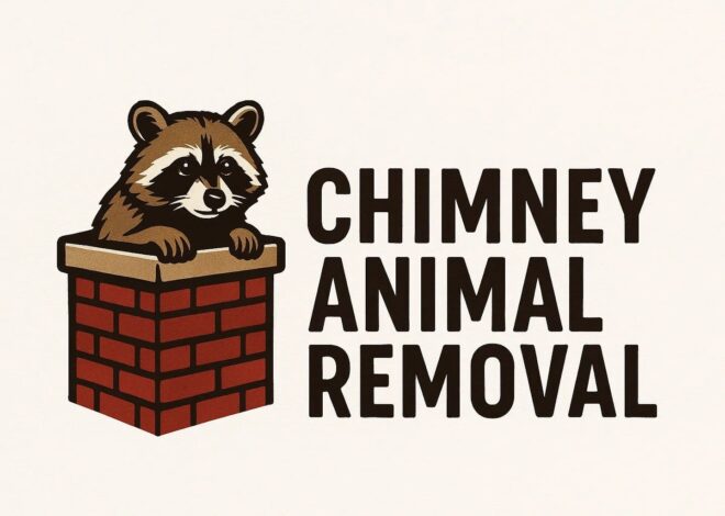 Why Is Professional Chimney Animal Removal Essential in Arlington?