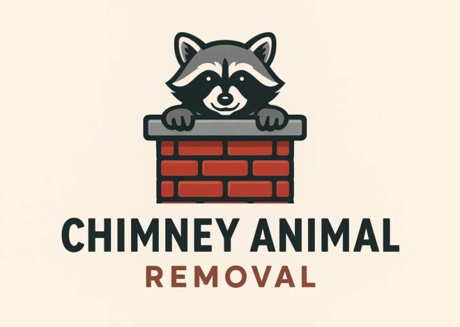 Why Is Professional Chimney Animal Removal Essential in Chicago?