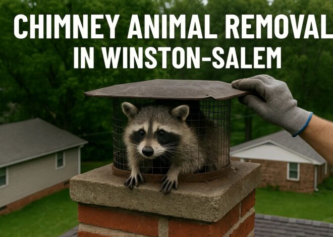 How Long Does Chimney Animal Removal Take in Winston-Salem?