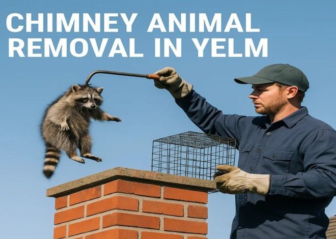 What Makes Our Chimney Animal Removal Services in Yelm Unique
