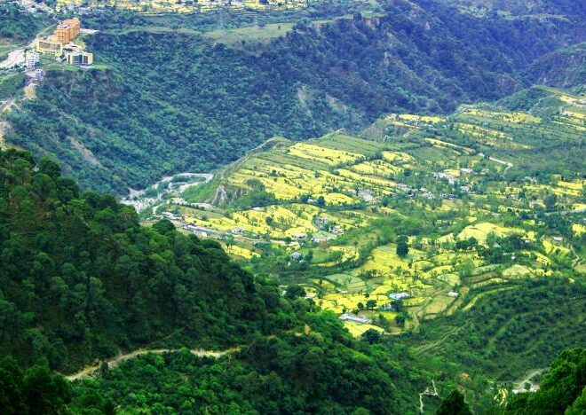 Gateway to the Goddess: A Complete Travel Guide to Katra