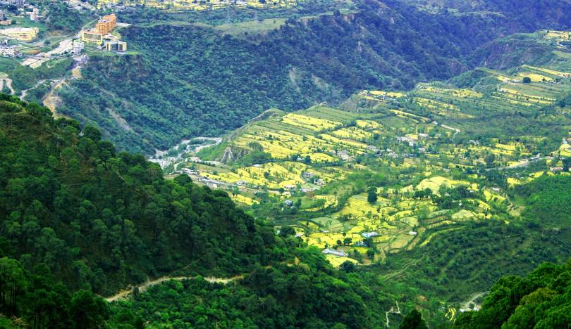 Gateway to the Goddess: A Complete Travel Guide to Katra